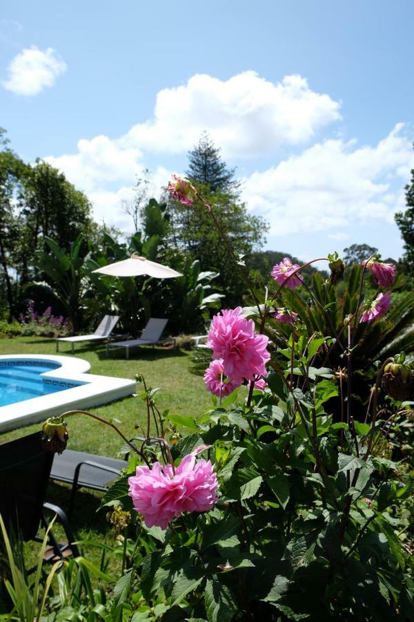 Pink House Azores Ponta Delgada Eksteriør billede